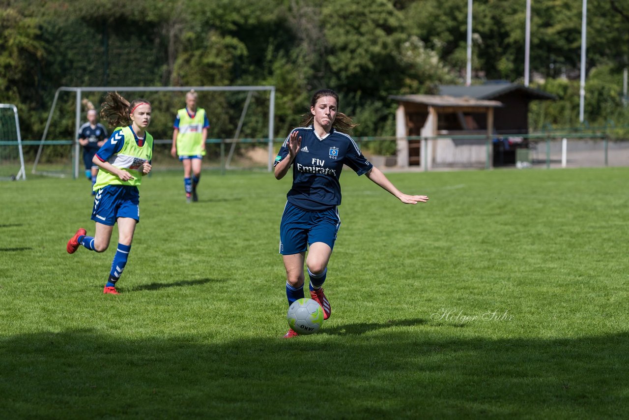 Bild 304 - B-Juniorinnen VfL Pinneberg - HSV : Ergebnis: 1:4